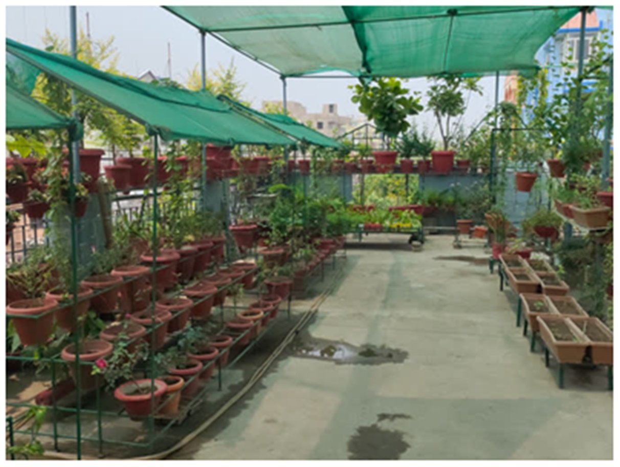 Manoranjan Sahay : Patna के बैंक कर्मी ने छत को किया बागीचे में तब्दील, देश भर में भेजते हैं पौधे