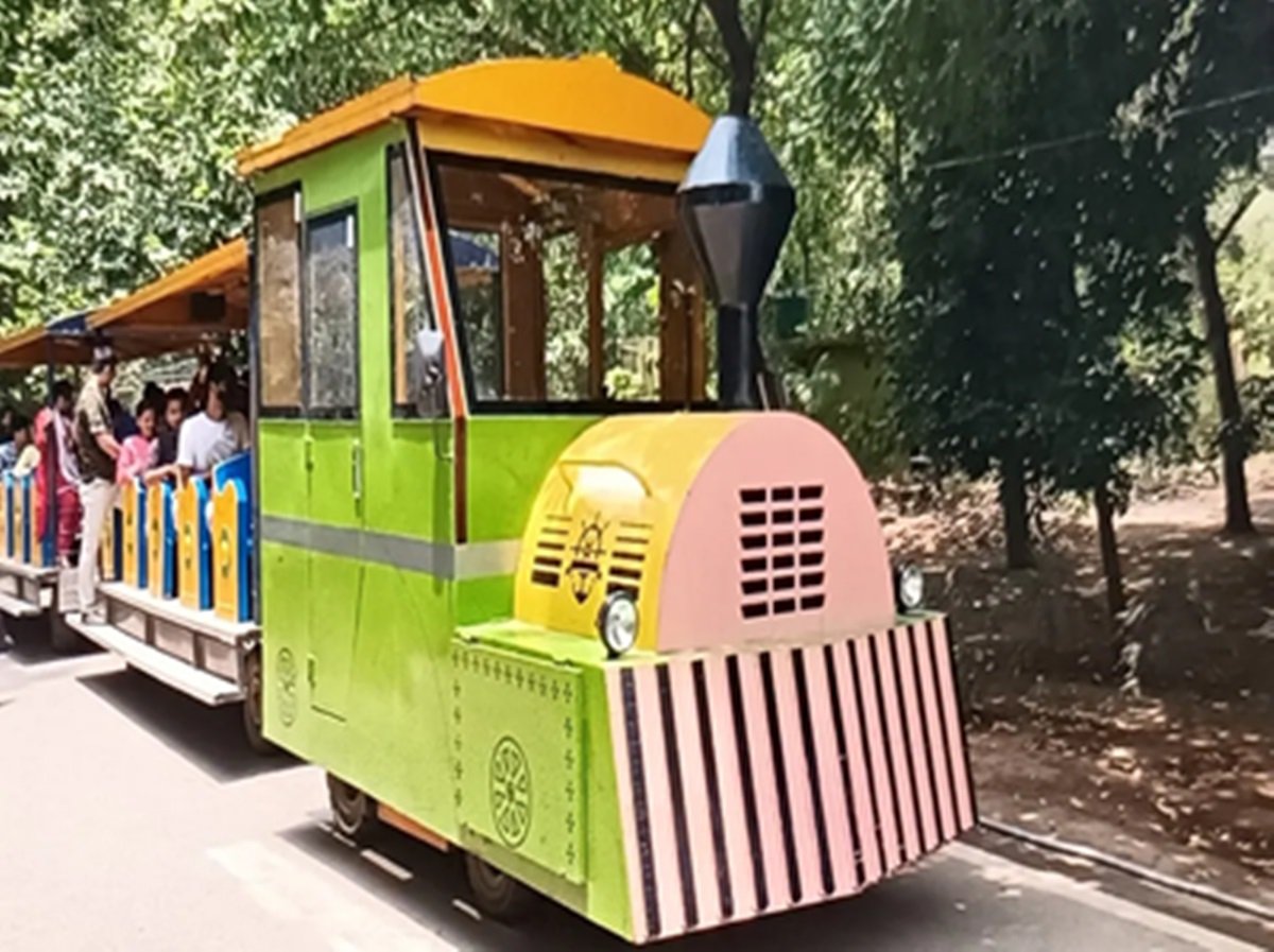 Toy Train In Patna