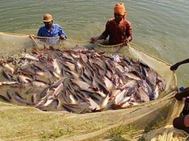 Financial Grant For Fisheries